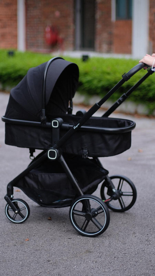 Bloom Magic Stroller (Infant to Toddler)