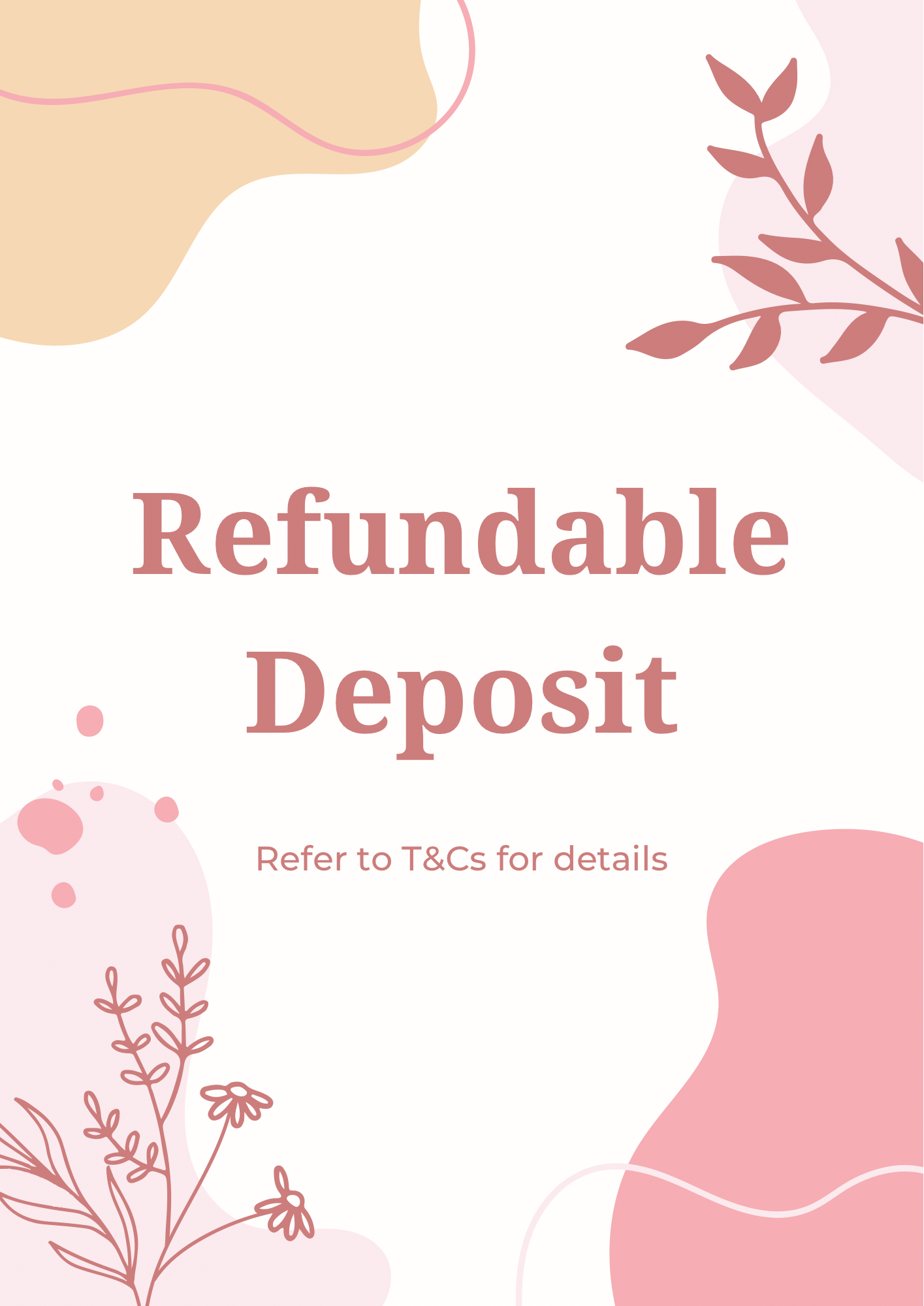 Refundable Deposit - Keenz Air Plus Cabin Stroller