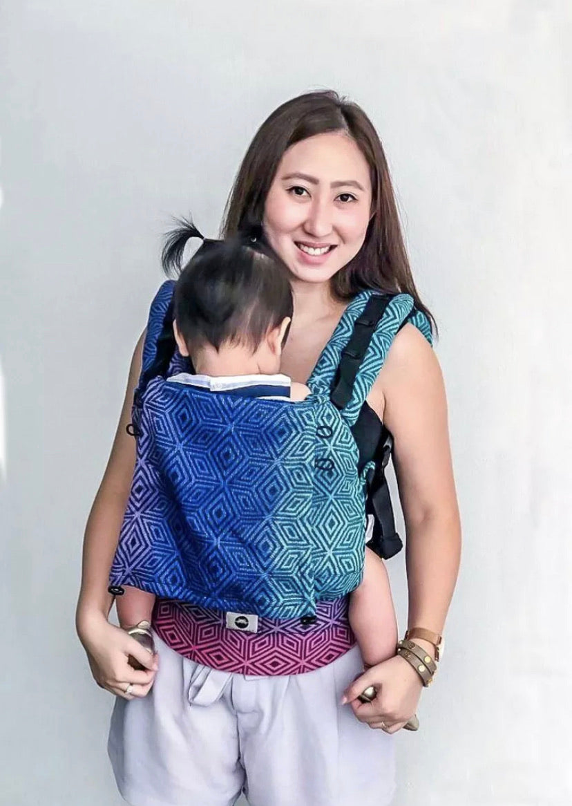 Little Frog Soft Structured Carrier