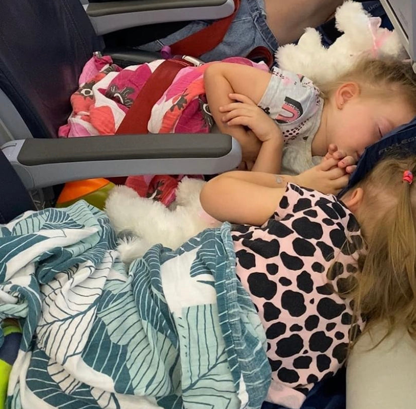 Fly LegsUp - Plane Bed