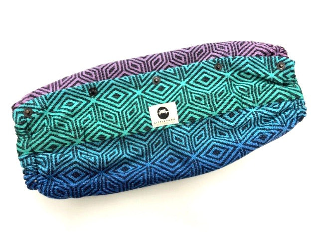 Little Frog Carrier Case