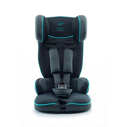 Urban Kanga Portable Car Seat