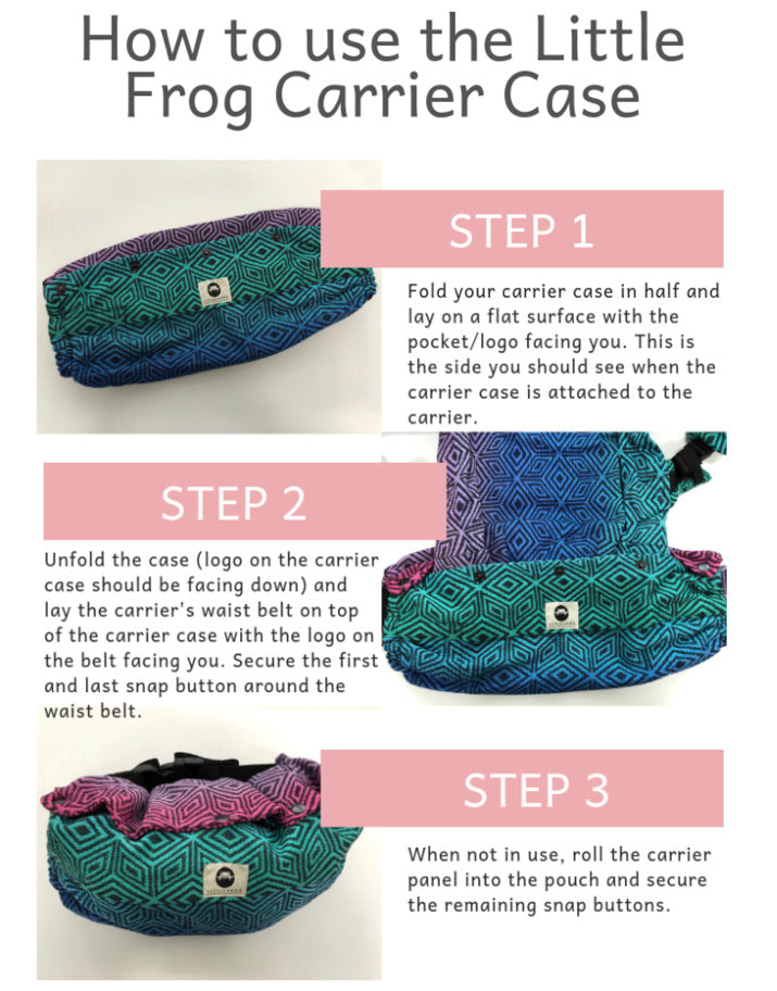 Little Frog Carrier Case