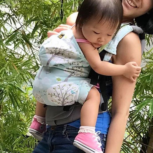 [RENTAL] Madame Goo Goo Toddler Mesh (Strictly for Baby Carriers Rental Philippines only)