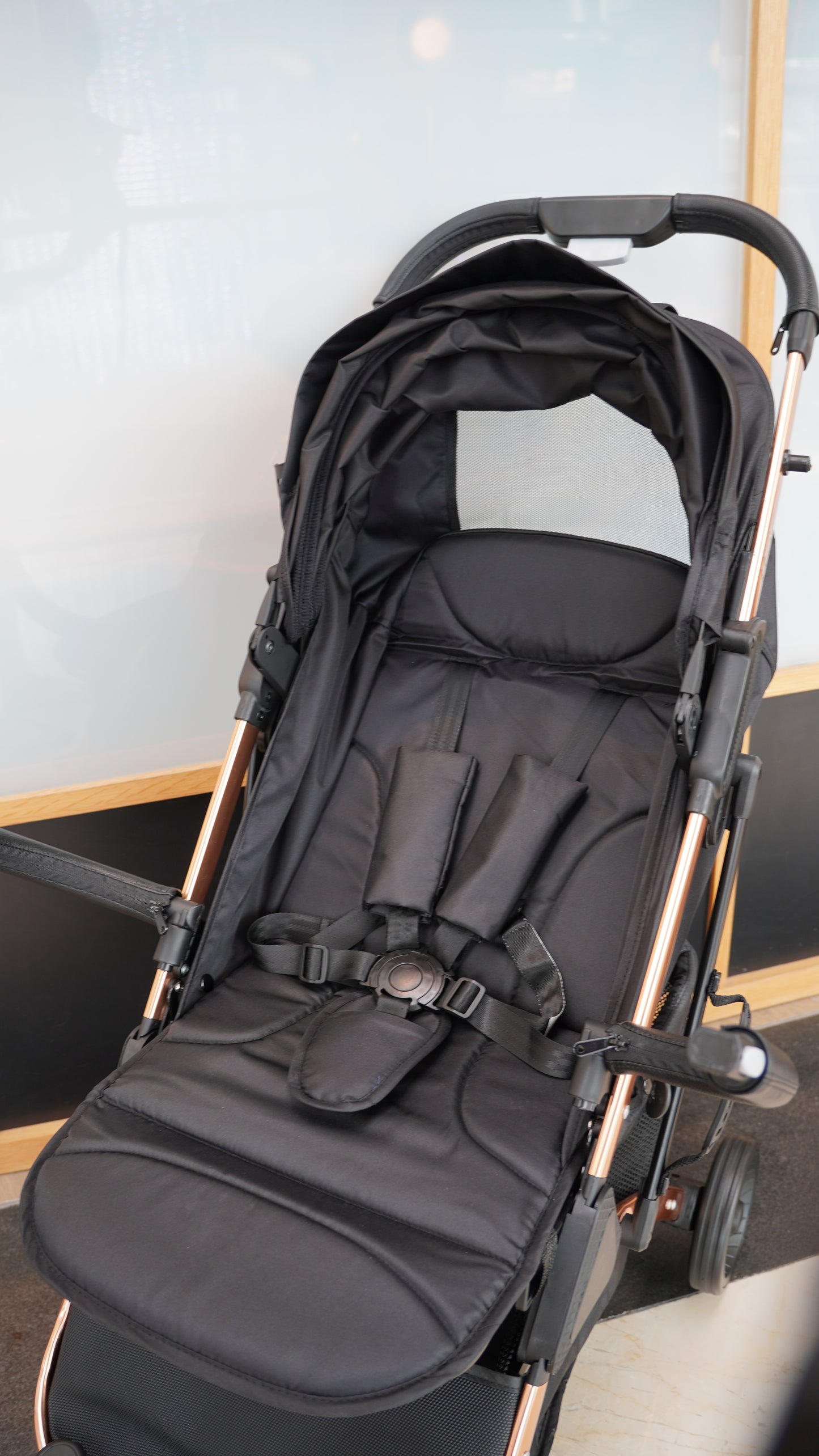 Bloom Travel Stroller (Infant to Toddler)