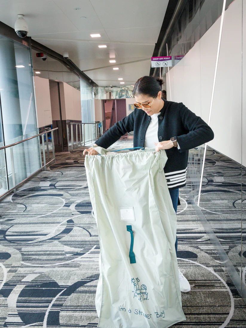 TravelTod Universal Stroller Bag