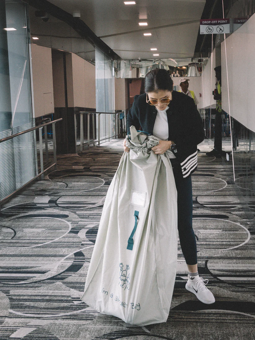 TravelTod Universal Stroller Bag