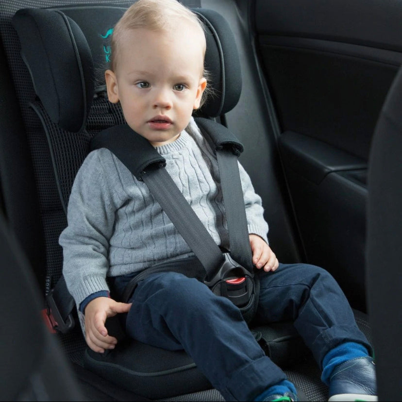 Kanga portable shop car seat